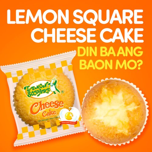Cheese Cake