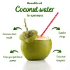 Coconut Water • 1000ml