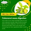 Calamansi Extract