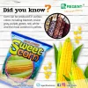 Golden Sweet Corn Snack
