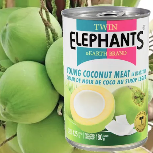 Young Coconut Meat Slices