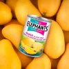 Mango Slices in Syrup