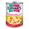 Tropical Fruits Cocktail • Premium